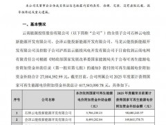云南能投獲6.18億元國家可再生能源電價附加資金補(bǔ)助